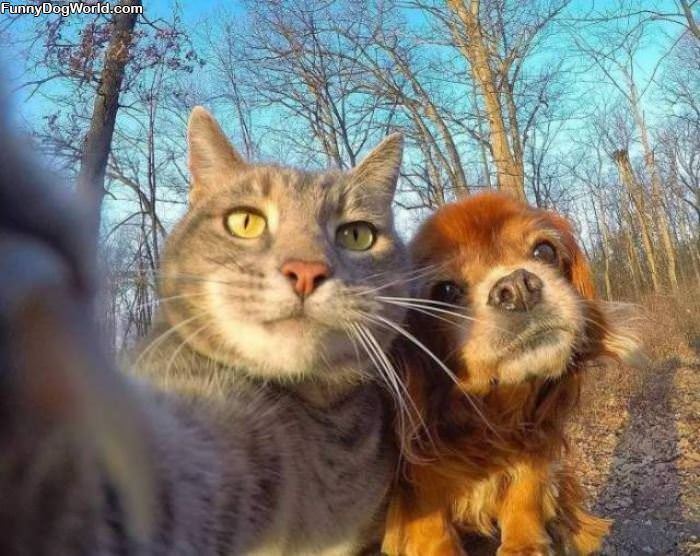 Getting A Cute Selfie