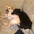 Getting A Nap In