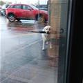 Getting An Umbrella