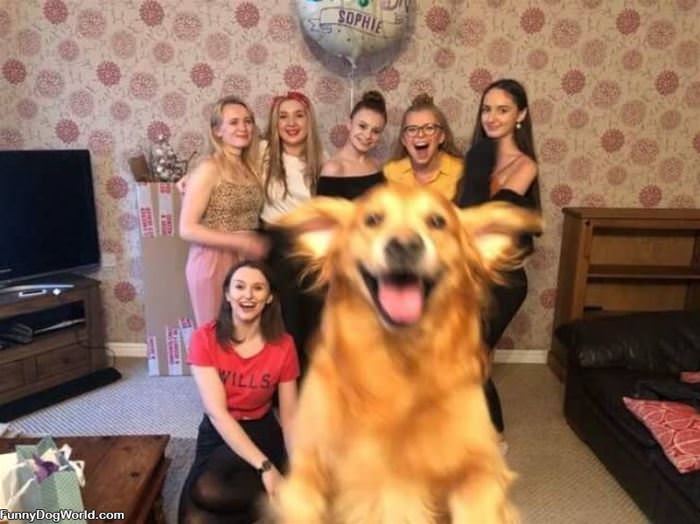 Getting In The Photo