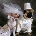 Getting Married