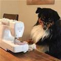 Getting Some Sewing Done