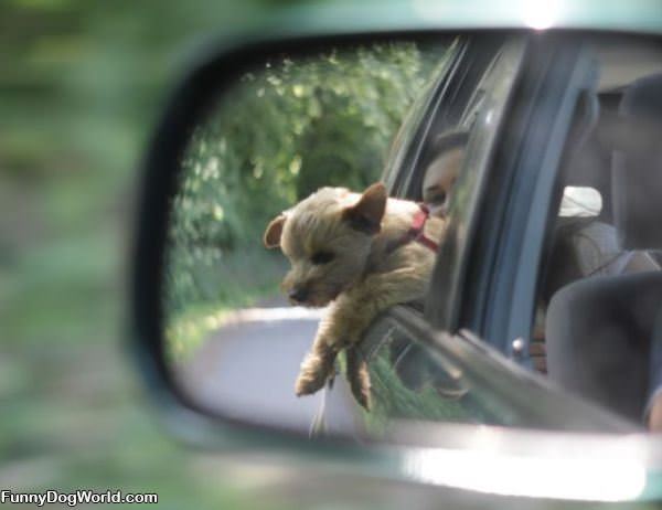 Getting Some Wind