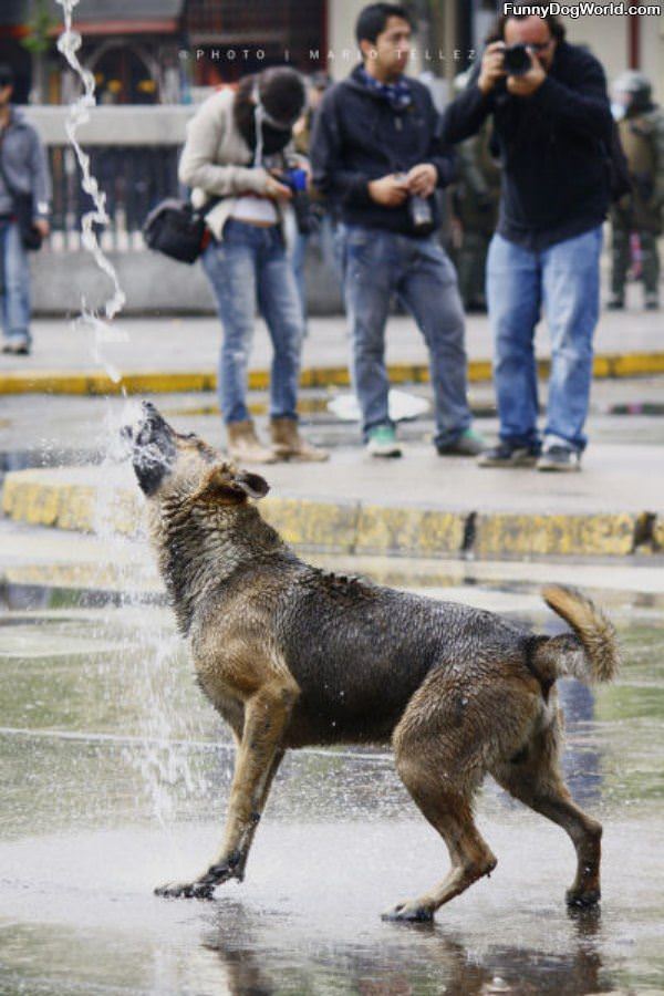 Getting The Water