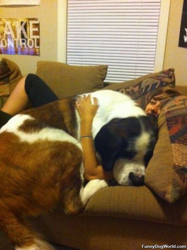 Giant Dogs Need Hugs Too
