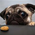 Gimme That Snack