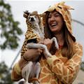 Giraffe Dog