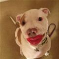 Give Me A Big Kiss