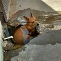 Good Place To Cool Off