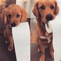 Got A Roll For You