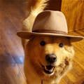 Got My Hat