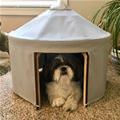 funny dog 5