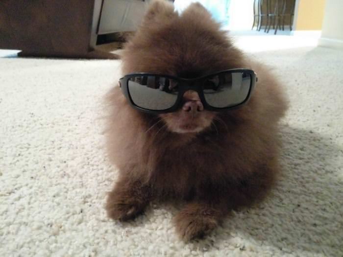 Got My Sunglasses On