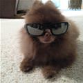 Got My Sunglasses On