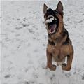 Got The Snow