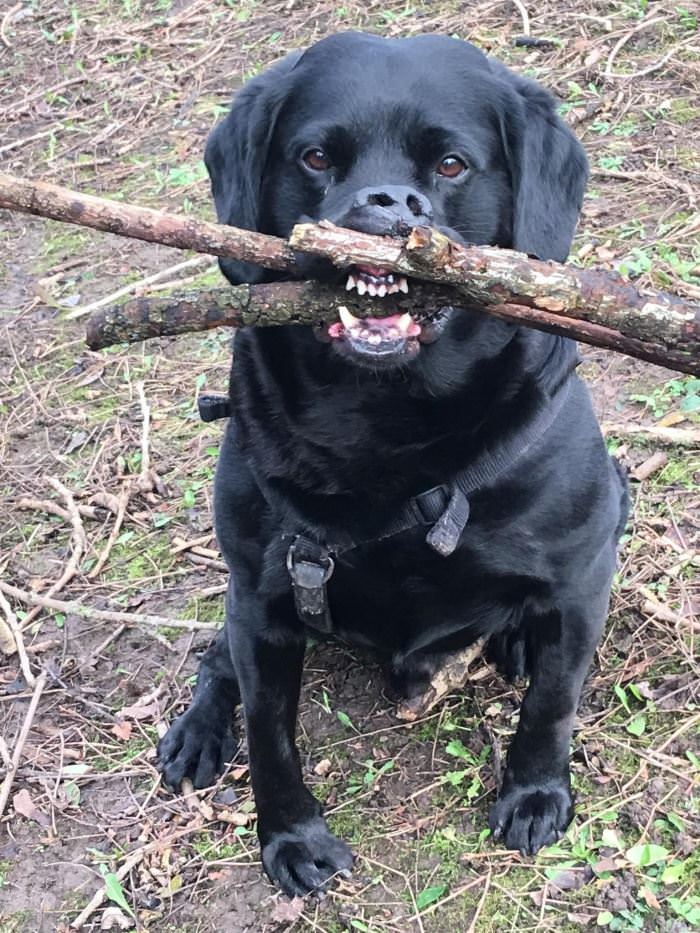 Got Your Stick
