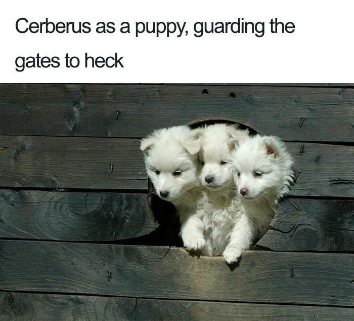 Guarding The Gates