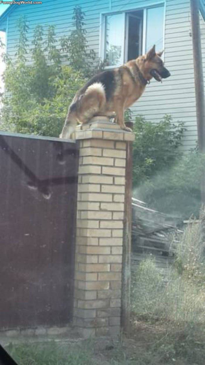 Guarding This House