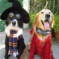 Halloween Time