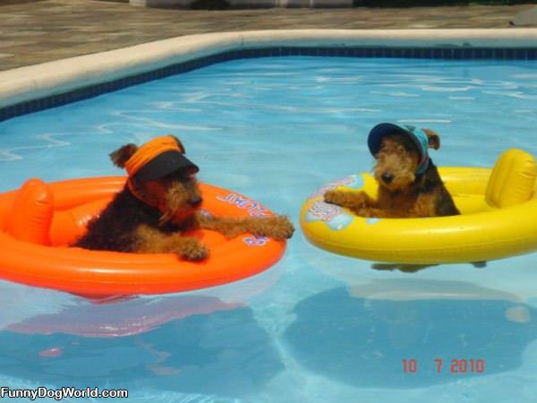 Hanging In The Pool