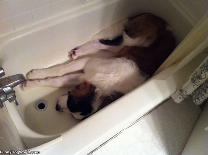 Hanging Out In The Tub