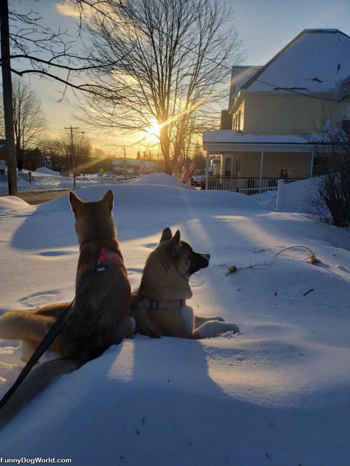 Hanging Outside In The Snow