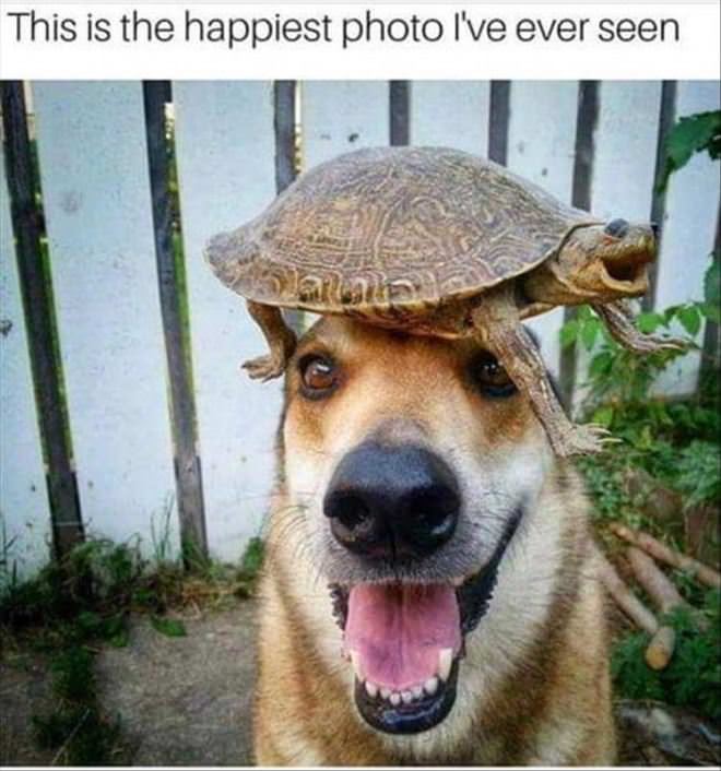 Happiest Photo I Have Ever Seen