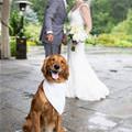 Happy Wedding Day