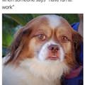Have Fun At Work