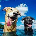 Having A Great Day