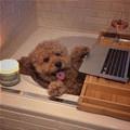 Having A Relaxing Night