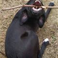 Having Fun