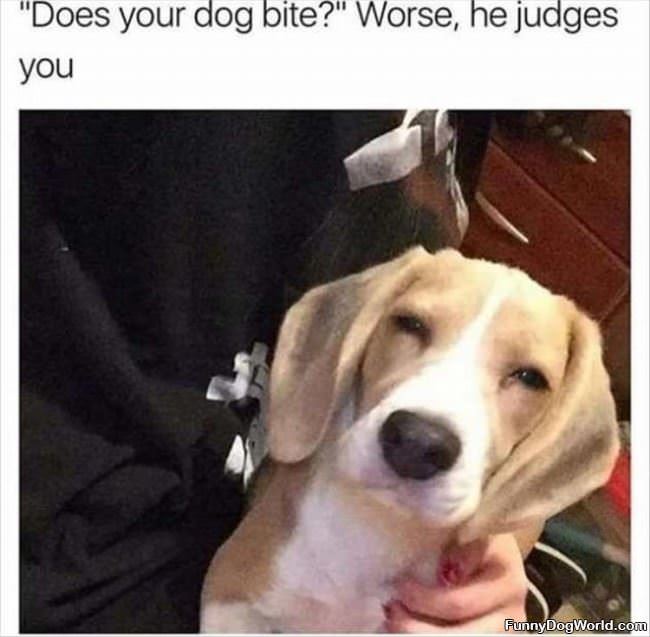 He Judges You