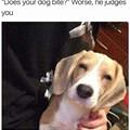 He Judges You