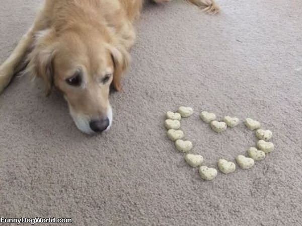 Heart Dog Treats