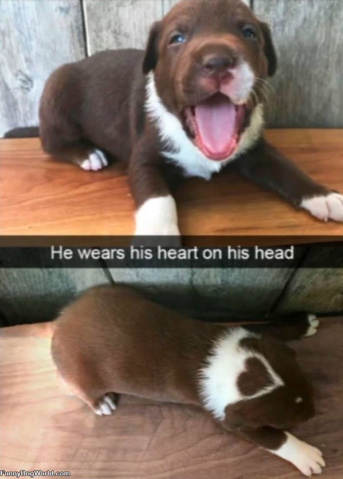 Heart On His Head