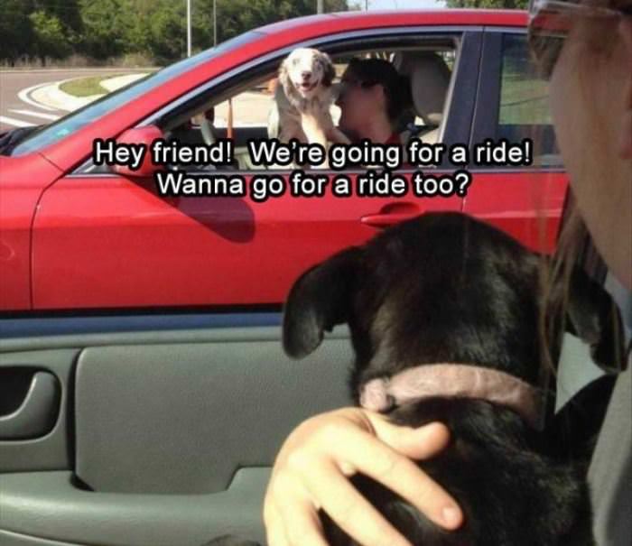 Hey Friend Are We Going For A Ride