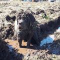 Hey Guys I Need A Bath