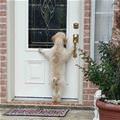 Hey Hey Let Me In