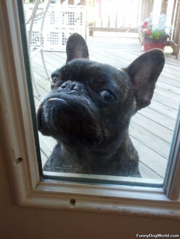 Hey U Let Me In Now