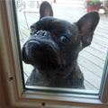 Hey U Let Me In Now
