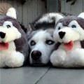 Hiding Away