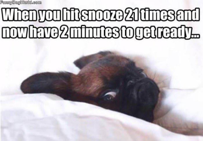 Hit Snooze Too Many Times