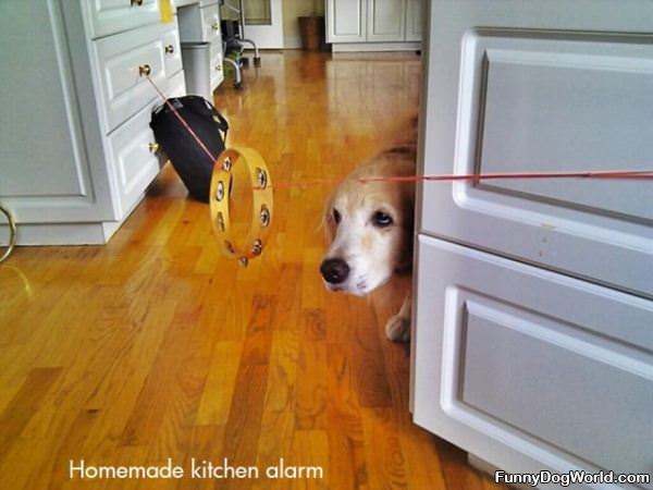 Home Made Kitchen Alarm