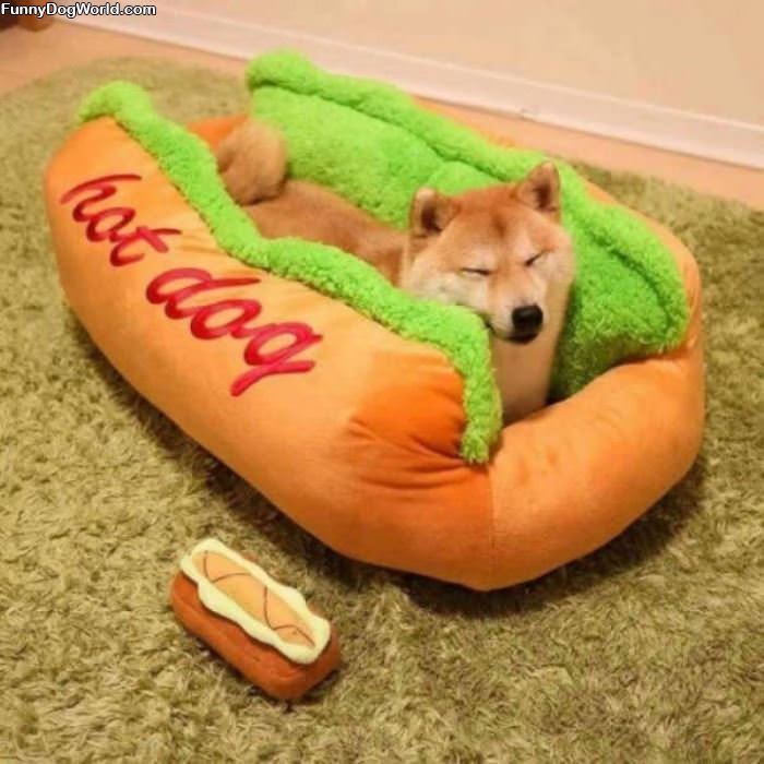 Hot Dog Bed