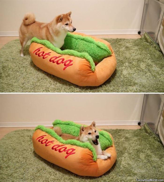 Hot Dog Hot Dog