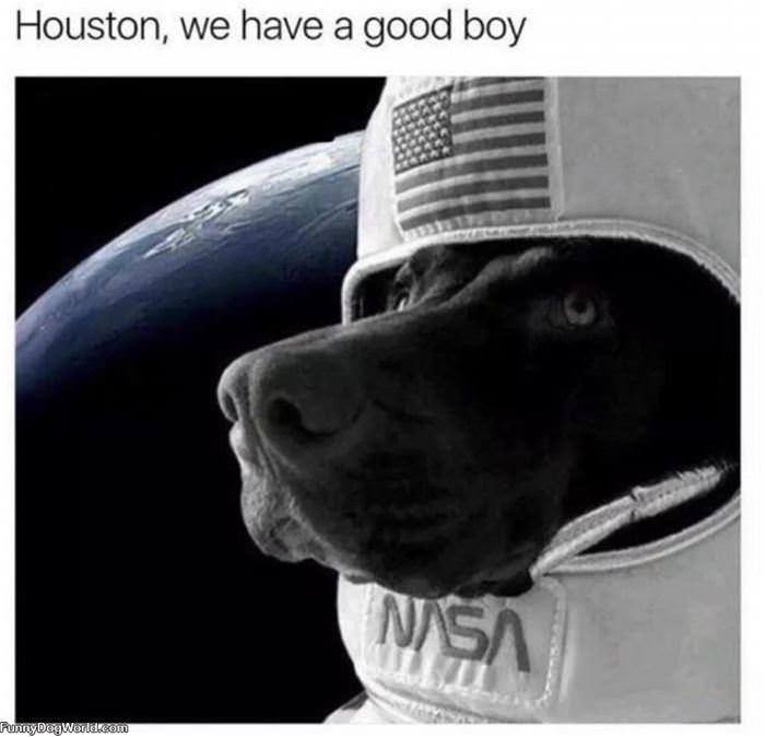 Houston We Have