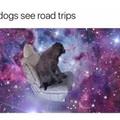 How Dogs See Road Trips
