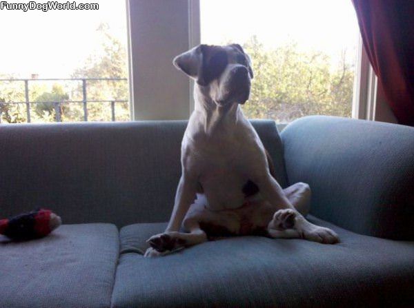 How I Sits