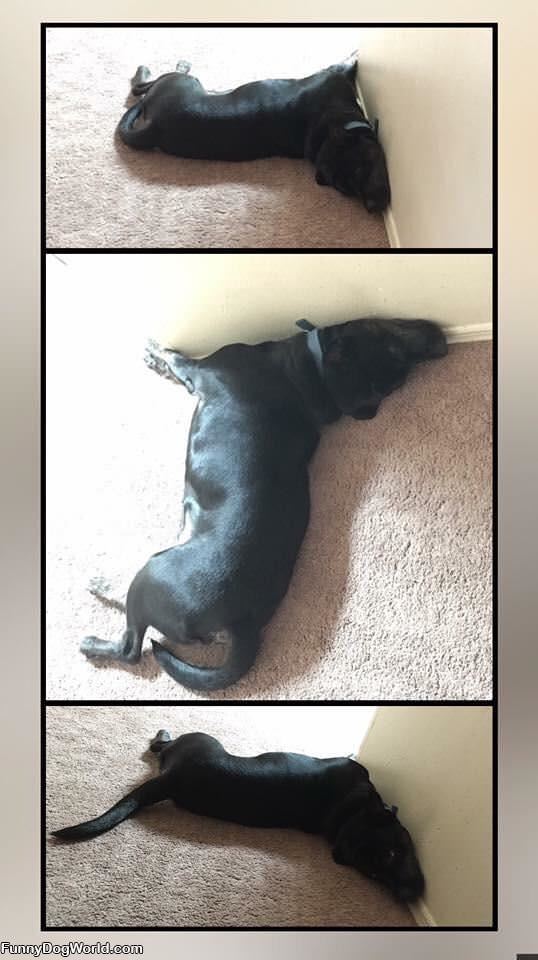How_I_Sleeps How I Sleeps
